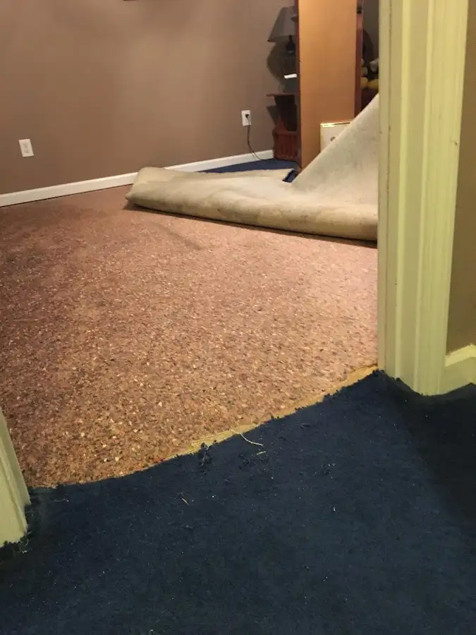Carpet pad removal revealing water damage during Drying & Dehumidification in Sidney