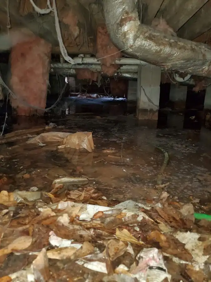 Crawl space flood assessment for Commercial Water Damage Restoration in Sidney